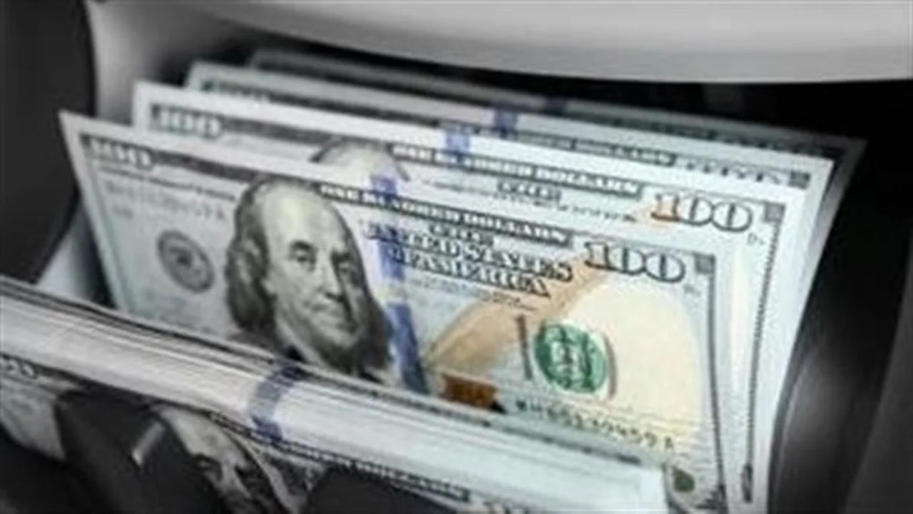 تثبيت سعر الدولار في البنوك المصرية عند 51 جنيهًا